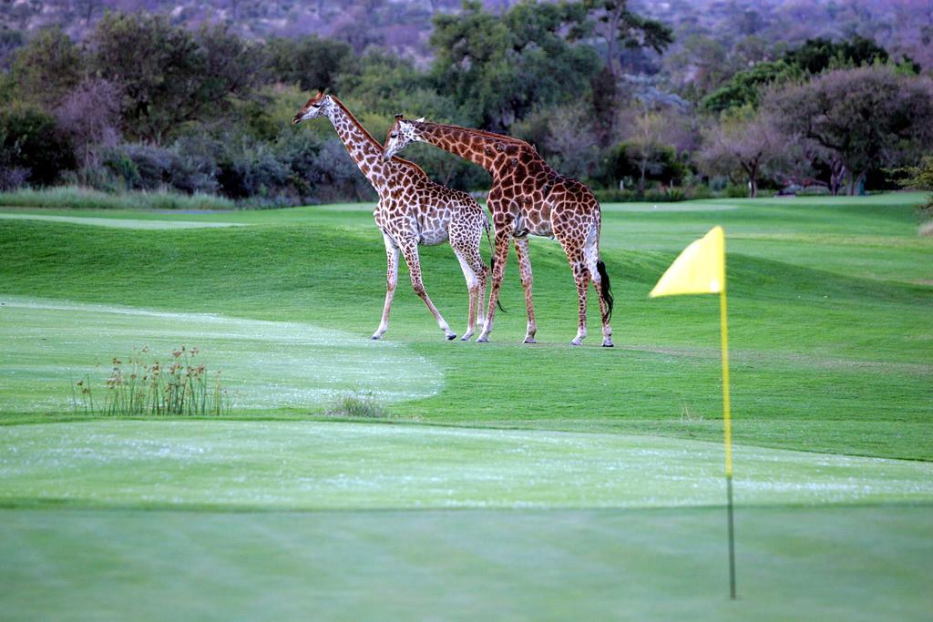Royal Game Guest House بهالابوروا المظهر الخارجي الصورة